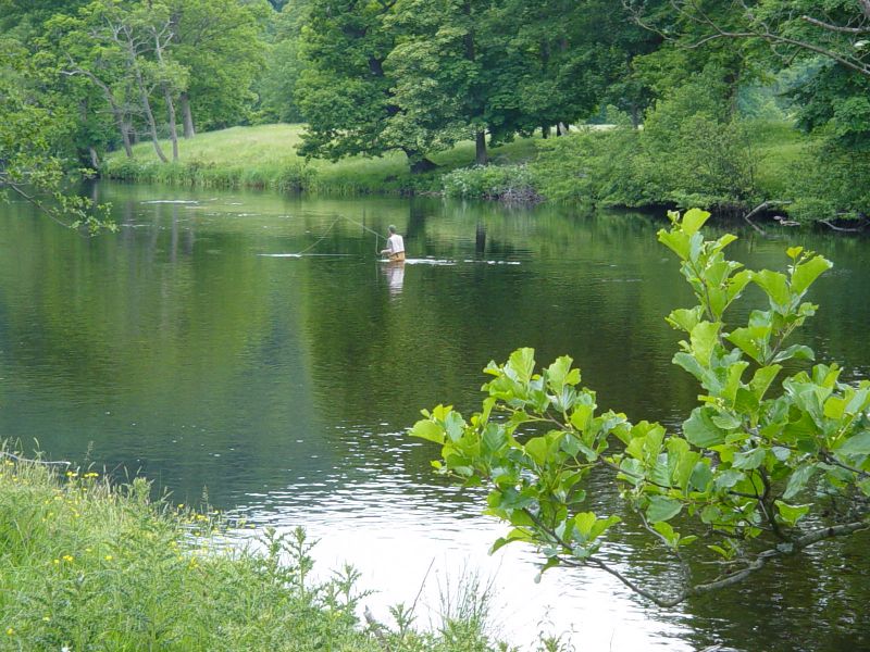 Peter on the Dee